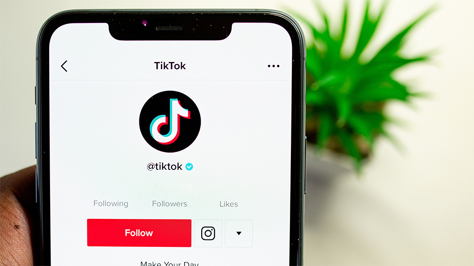 TikTok influencer marketing power