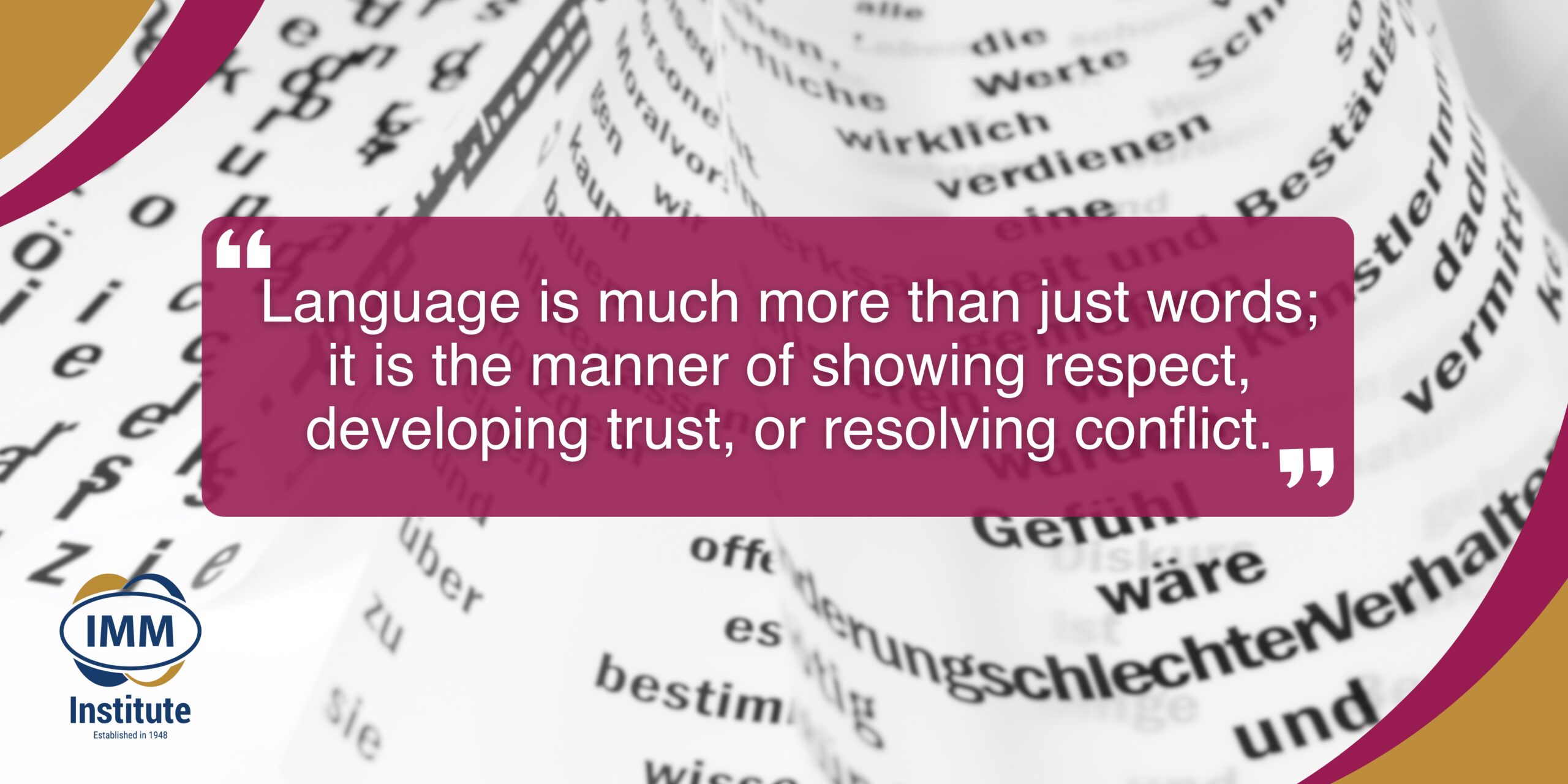 Cultural-intelligence-language
